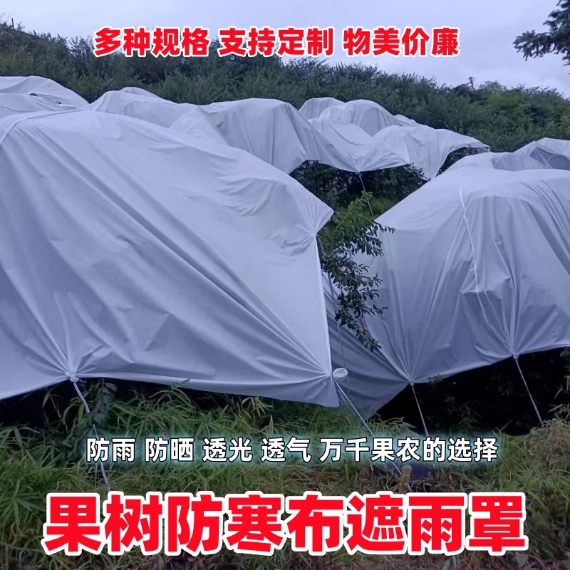 果树拒雨布遮雨布防雨罩抗寒冻柑橘李子樱桃车厘子防裂果晒果园膜