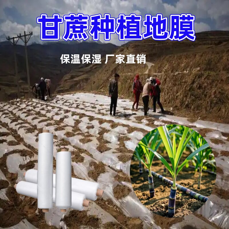 甘蔗种植专用地膜农业薄莫白不长防除草布覆盖保温保湿塑料铺的庶