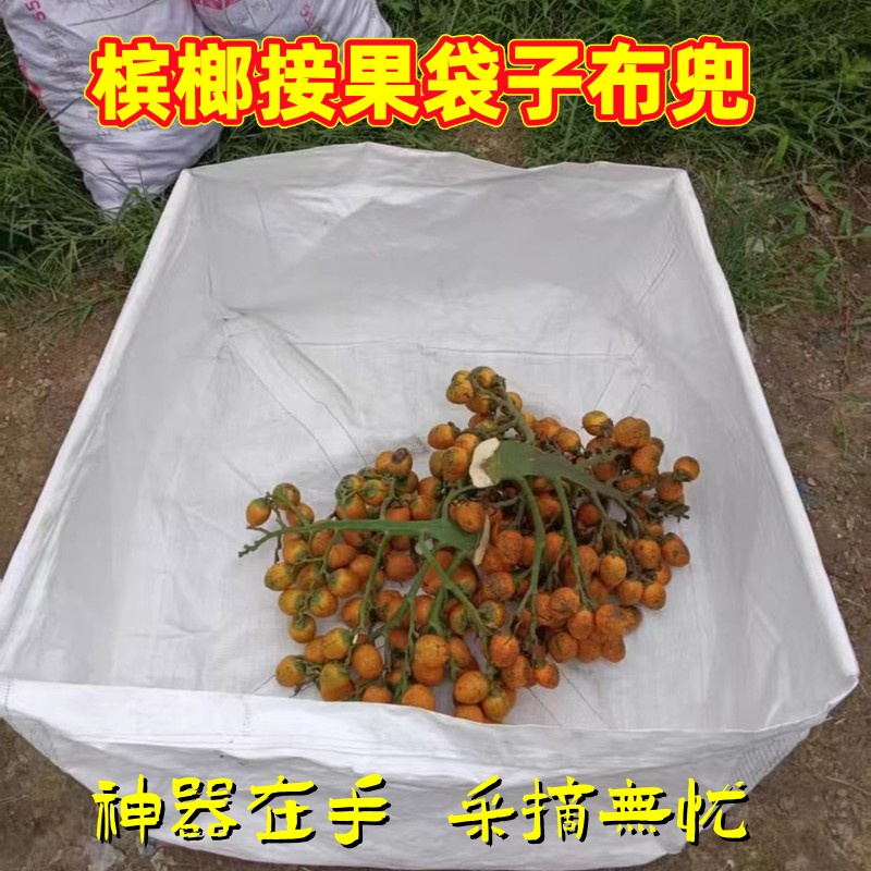 接槟榔果布袋子收果子网兜底神器