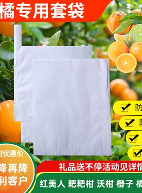 柑子套袋包水果实耙耙柑红美人袋