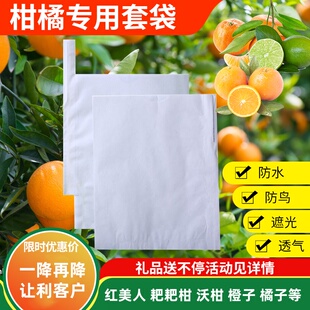 柑子套袋包水果实橘专用耙耙柑防鸟虫叨红美人果蝇脐橙沃柑的神器