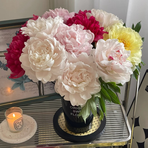 重瓣芍药鲜花芍药插花客厅阳台芍药鲜切花 A级芍药鲜花沙拉鲜花