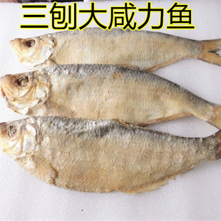1条免邮舟山海鲜特产三刨大咸力鱼白鳞鱼咸鱼干勒鱼鲞臭咸鱼