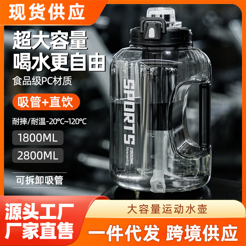 新款网红大容量双饮太空水壶茶水