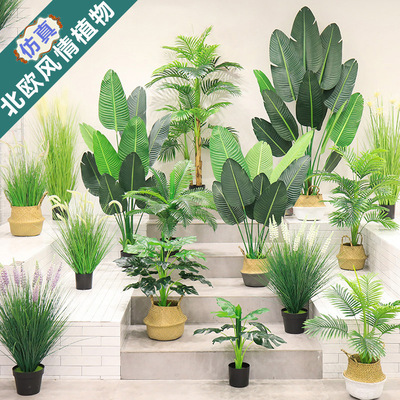 北欧简约仿真绿植盆栽室内绿植