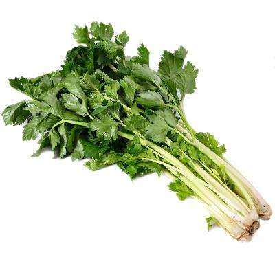 远东春生鲜 新鲜蔬菜 四川 白芹菜  京津冀满 68包邮顺丰