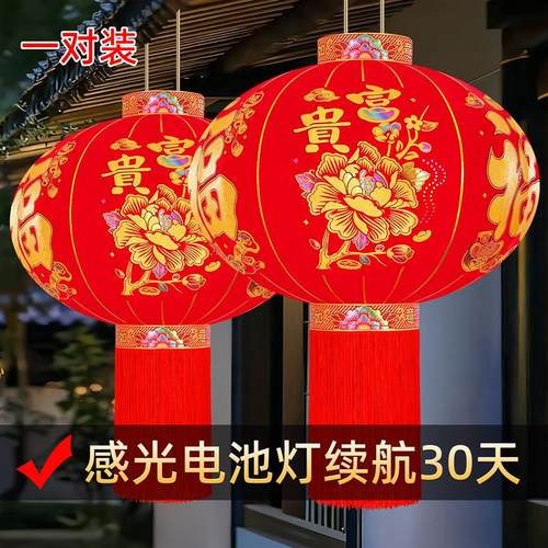 2026喜庆大红灯笼春节过年农村大门口一对阳台中国挂饰风新款灯笼