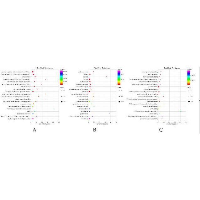 生信分析多组学联合分析孟德尔随机化科研思路指导