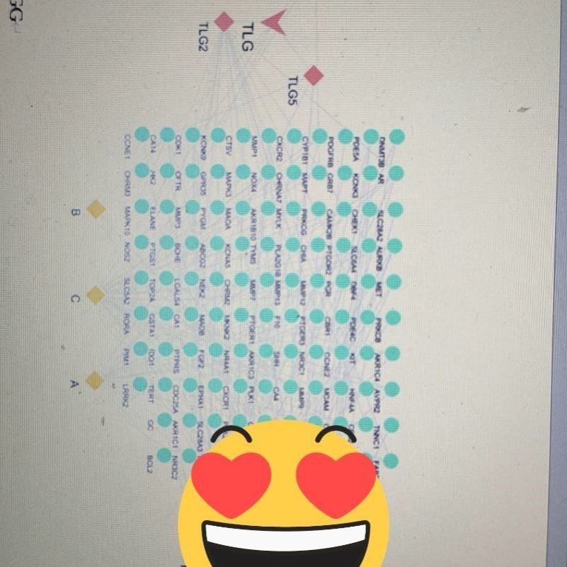 R语言统计分析医学Meta分析画图回归stata Revman网状egger检验