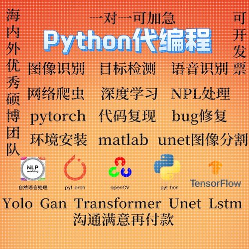 python代编程深度学习机器图像视觉接单代跑模型代码调试编写程序