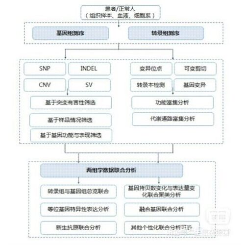 生信相关问题咨询 、GEO数据库、TCGA数据库、CGGA数据库
