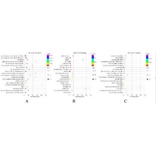 中药复方网络药理学联合分子对接套路视频教程/生信自学网/多中药