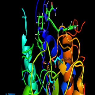 蛋白互作网络PPI构建String Cytoscape美化硕博团队定制