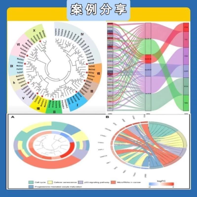 生物信息学基因家族监定生信分析科研绘图数据分析软件基因组学