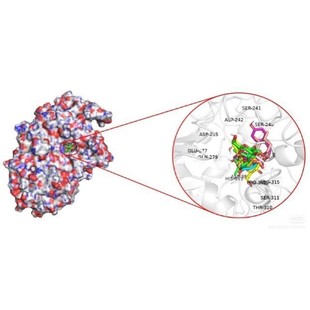 分子对接二维三维可视化作图