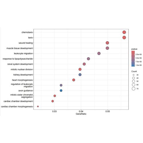 R语言代码作图绘图rstudio科研绘图SCI分析tcga基因生存画图素材