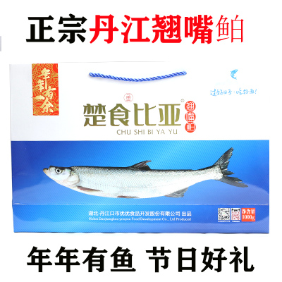 丹江翘嘴鲌鱼湖北十堰特产