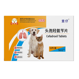 头孢羟氨苄片狗狗猫咪犬窝咳感冒咳嗽药流鼻涕打喷嚏外伤口消炎药