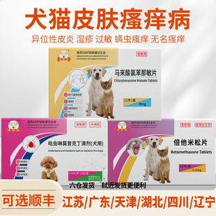 马来酸氯苯那敏片宠物狗狗异位性皮炎抗过敏药猫咪瘙痒止痒药内服