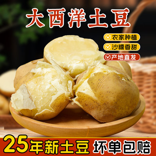 甘肃特产大西洋沙面土豆