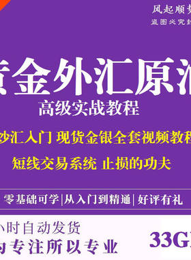 外汇交易视频教程从入门到精通现货黄金原油白银短线波浪理论课程