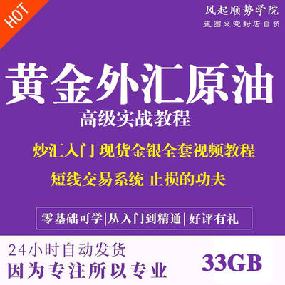 外汇交易视频教程从入门到精通现货黄金原油白银短线波浪理论课程