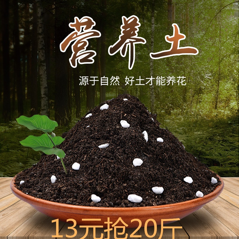 营养土包邮种植土通用型包邮花卉多肉营养土蔬菜种子育苗土腐殖土在类目 鲜花速递/花卉仿真/绿植园艺, 园艺用品, 家庭园艺肥料/营养土/营养液中 - 来自Buy2taobao.com提供专业的淘宝代购服务