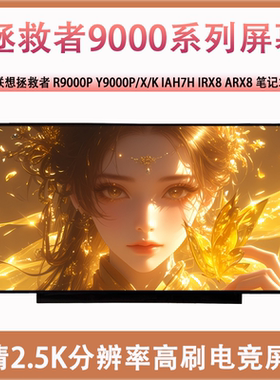 联想拯救者R9000P/X/K Y9000P/X/K IAH7H A/IRX8/9 APH8 2021屏幕