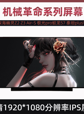 机械革命深海幽灵Z2 Z3 Air-S 极光pro蛟龙57 泰坦plus笔记本屏幕