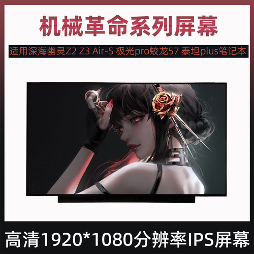 机械革命深海幽灵Z2 Z3 Air-S 极光pro蛟龙57 泰坦plus笔记本屏幕