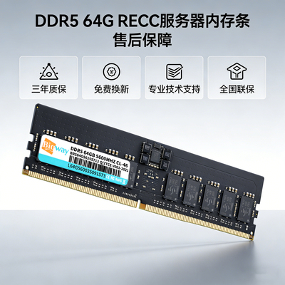 毕伟DDR5RECC64G服务器内存条