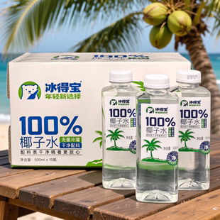 冰得宝100%椰子水椰汁纯果汁植物原汁原味饮料500ml零添加饮品
