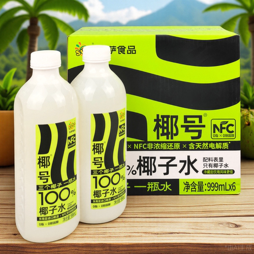 苏萨椰号100%椰子水果汁NFC饮料