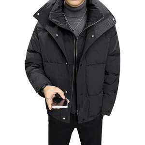 社会轻奢新标90白鸭绒双领假两件羽绒服痞帅B297-Y320-P240图片
