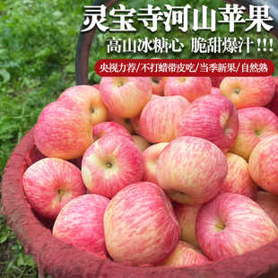 灵宝寺河山SOD苹果脆甜多汁正宗冰糖心富硒脆甜红富士平安果礼盒