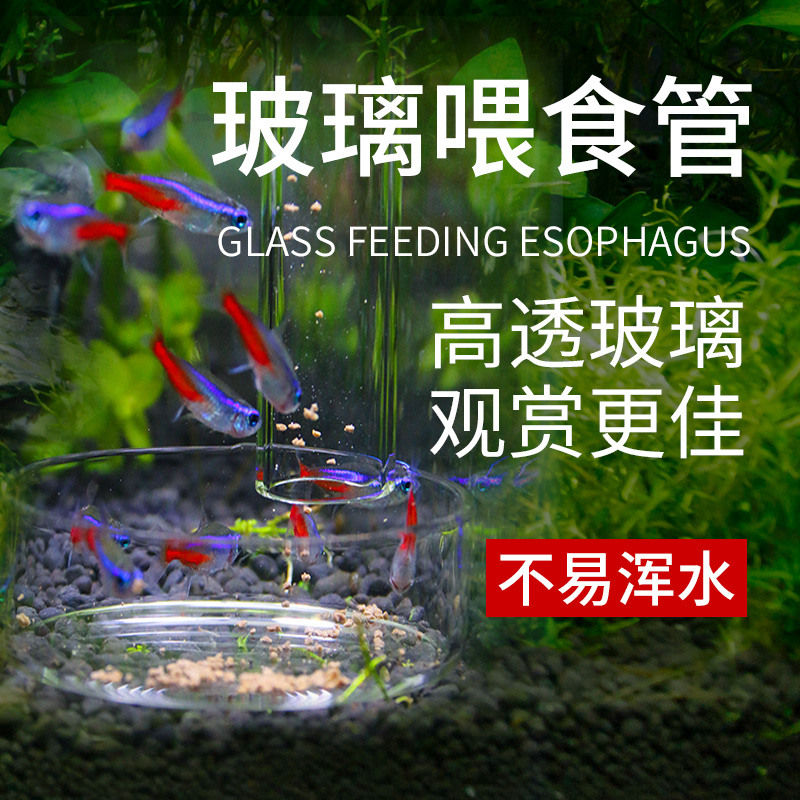 水族箱鱼缸鱼粮喂食圈鱼儿