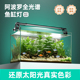 贝森鱼缸灯LED灯防水鱼缸观赏水草灯LED全光谱爆藻照明草缸支架灯