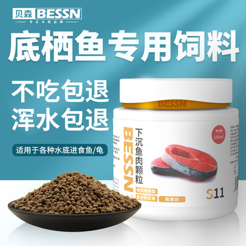 bessn底栖鱼清道夫下沉型虎头鲨