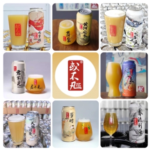 或不凡龙生九子七岁啦浑浊IPA黄河水君不见落九天精酿啤酒500ml