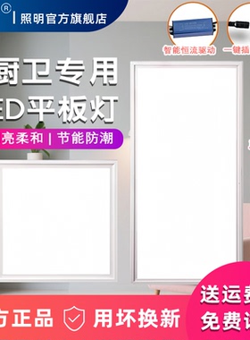 小普集成吊顶led灯30x30x60厨房卫生间灯铝扣板嵌入式30*60平板灯