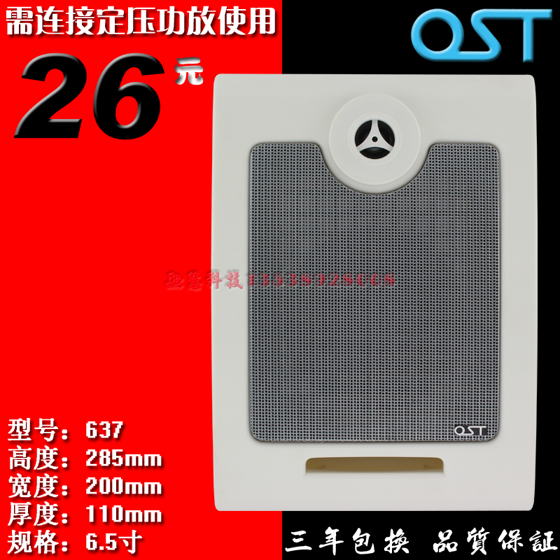 OST工程 壁挂音箱 墙壁喇叭工程解决方案