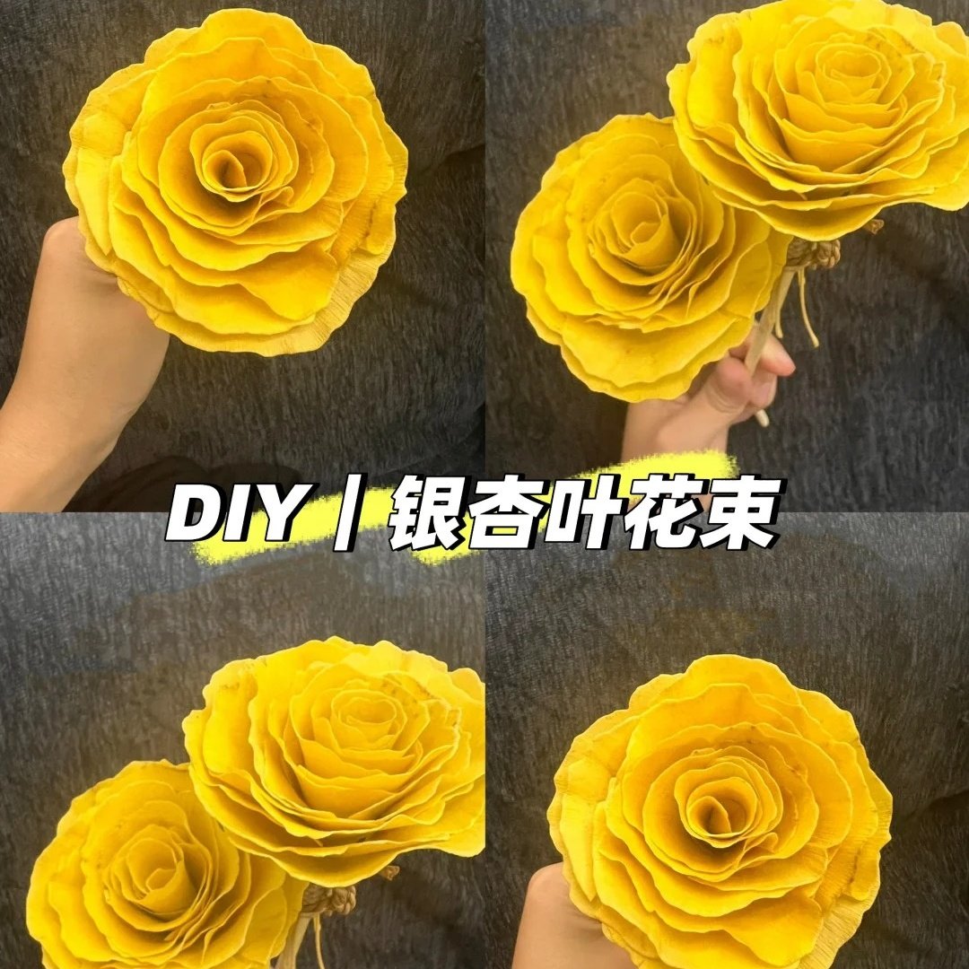 新鲜采摘真树叶银杏叶抖音DIY高品质银杏叶网红同款标本手工花