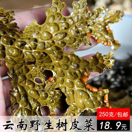 云南野生树皮菜干菜特产菌树蝴蝶野味山货 250g 凉拌越嚼越香包邮