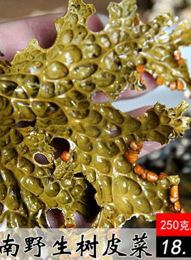 云南野生树皮菜干菜特产菌树蝴蝶野味山货 250g 凉拌越嚼越香包邮