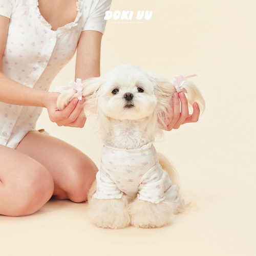 dokiuu 人宠亲子装夏季宠物衣服狗狗碎花可爱睡衣猫咪纯棉小服装