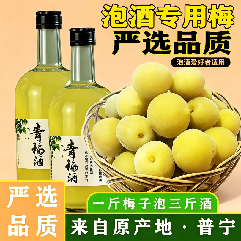 青梅泡酒专用现摘新鲜果腌制半成品解腻休闲冰糖泡制解馋果干酸甜省事网红款果脯简单家庭果酒蜜饯开胃方便无需处理小零食爽口便捷