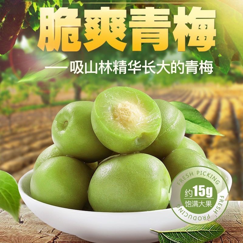 轻加工青梅鲜果泡酒专用爽口大果新鲜精选酸甜开胃解腻适合休闲时刻作零食也能制作梅子果干蜜饯果脯满足家庭自制果酒需求​