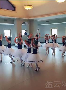 正品儿童服舞台表演芭现蕾舞长裙 代舞集蹈体舞蹈女纱裙蓬蓬裙比