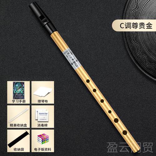 正品winerten威迩特爱尔兰哨锡笛学入六孔竖笛C/初D调高门音笛直