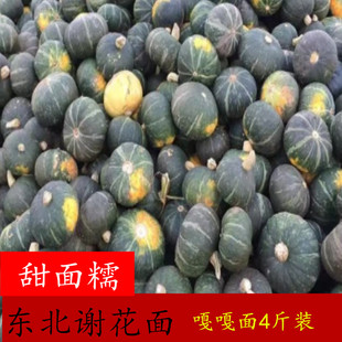 东北窝瓜谢花面农家种植甜面糯绿皮老品种倭瓜